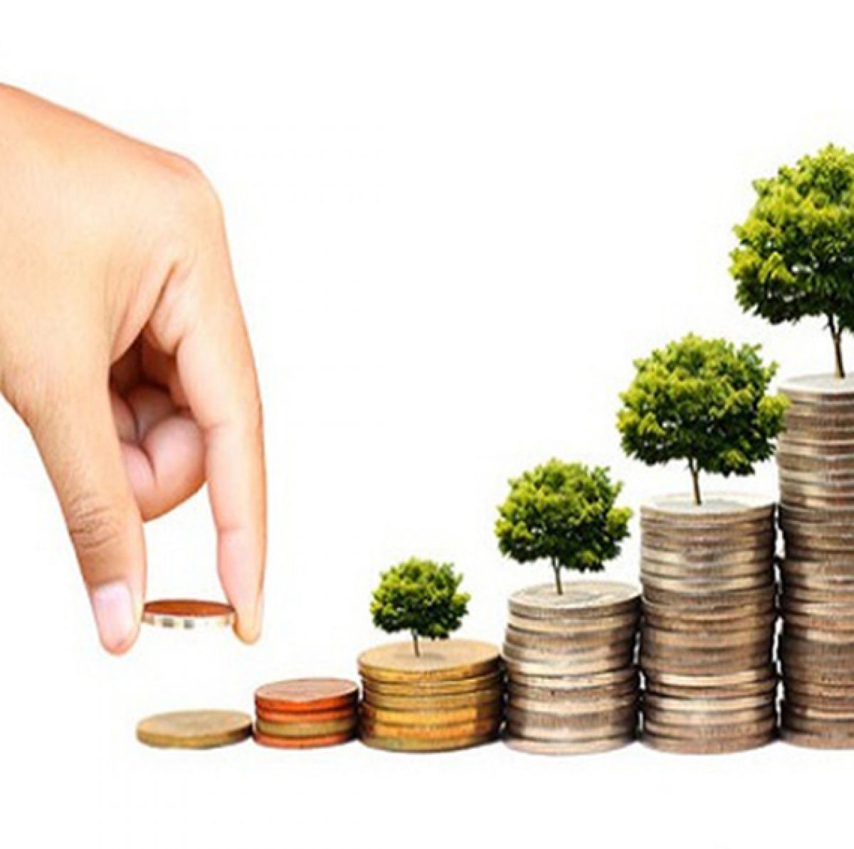 THÔNG TIN GỬI ĐẾN QUÝ CỔ ĐÔNG, NHÀ ĐẦU TƯ VỀ TÌNH HÌNH HOẠT ĐỘNG CÔNG TY