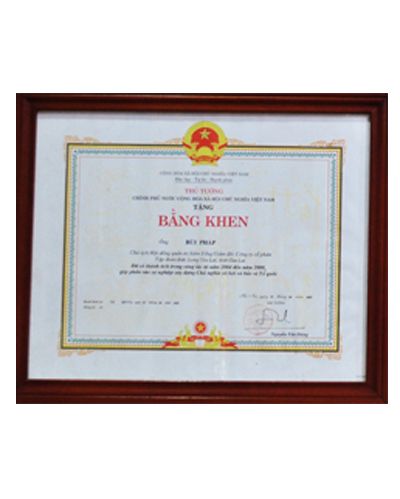 Thủ tướng CP tặng Bằng  khen ông Bùi Pháp năm 2009