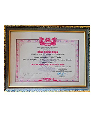 Doanh Nhân Việt Nam Tiêu Biểu năm 2007