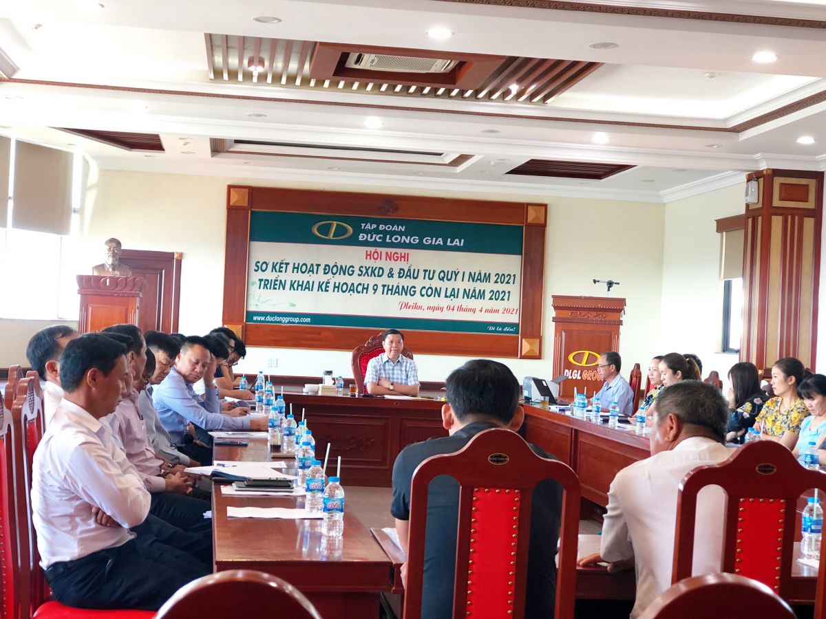 9 THÁNG CUỐI NĂM 2021 DLG TẬP TRUNG TOÀN LỰC CẤU TRÚC TOÀN DIỆN TÀI CHÍNH DOANH NGHIỆP