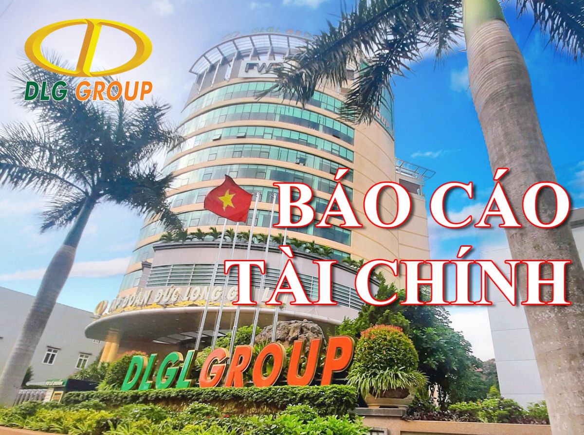 DLG: Doanh thu quý 4 tăng gần 16% so với cùng kỳ