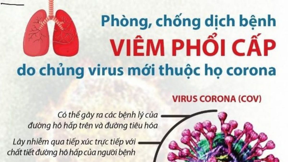 DLG HỌP BÀN GIẢI PHÁP ỨNG PHÓ ẢNH HƯỞNG DỊCH COVID -19