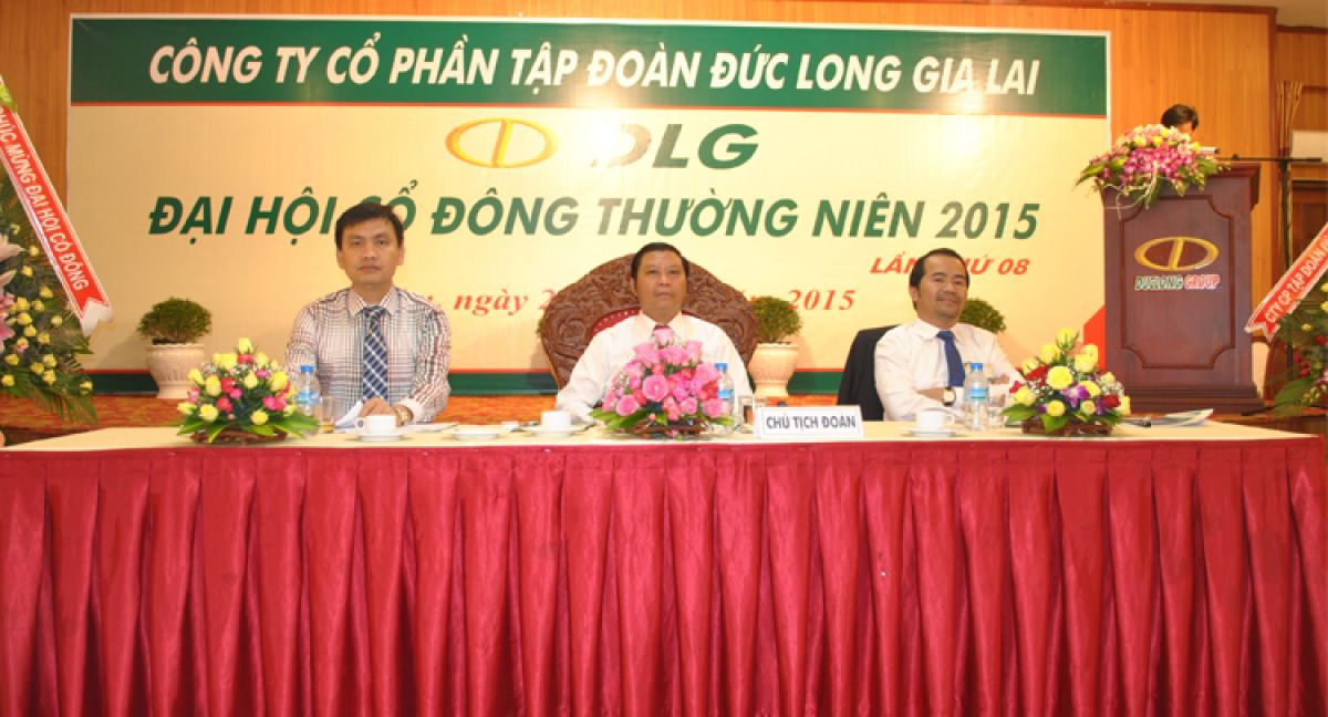 ĐHCĐ DLG: CÁC LĨNH VỰC TÁI CẤU TRÚC ĐÓNG GÓP ĐẾN 90% DOANH THU 2015