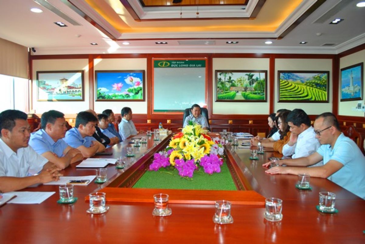 DLG LÊN KẾ HOẠCH BỨT PHÁ TRONG NĂM 2019