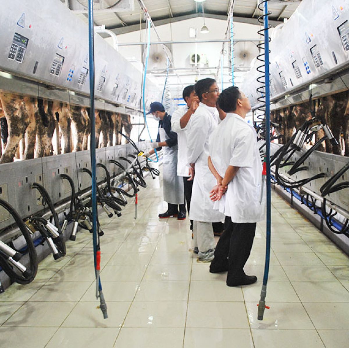 LÃNH ĐẠO ĐĂK NÔNG “MỤC SỞ THỊ” CÔNG NGHỆ TIÊN TIẾN CỦA VINAMILK