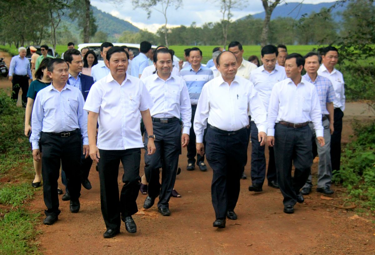 THỦ TƯỚNG THĂM VƯỜN CHÈ DO DLG LÀM NHÀ ĐẦU TƯ